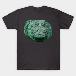 Never smile at a Crocodile! T-Shirt